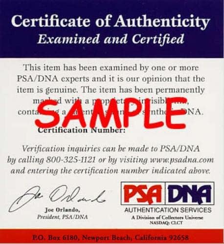 Willie Brown PSA DNA İmzalı Coa 8x10 İmzalı Fotoğraf Akıncıları-İmzalı NFL Fotoğrafları