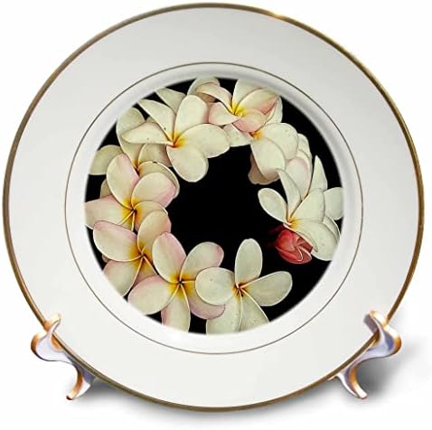 3dRose Plumeria Tropikal Çiçek Çelenk Çelenk Benzeri Desen Plakaları (cp_356233_1)