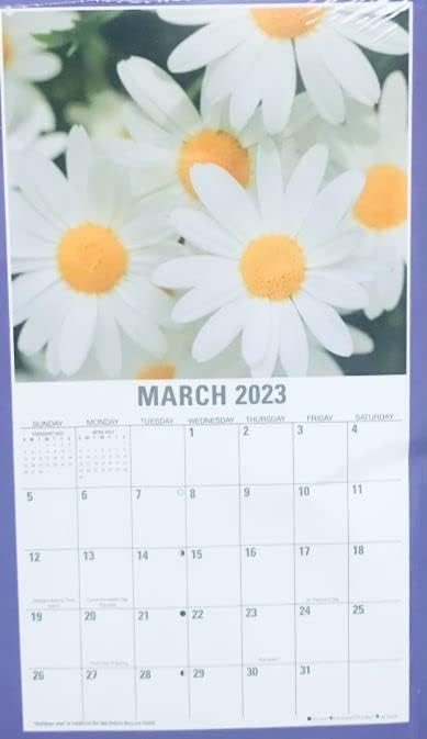 CGT 2023 Aylık duvar takvimi Büyük Çiçekler ve Kelebekler Takvimler 12 Aylık Organizatör Planlayıcısı Yenilik Hediye