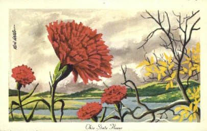 Eyalet Çiçeği, Ohio Kartpostalı