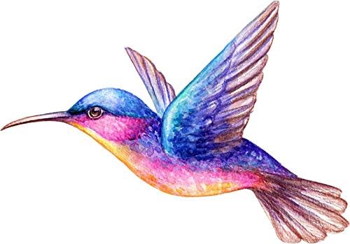 Güzel Canlı Renkli Hummingbird Sanat 6 Kamyon Araba tampon çıkartması Vinil Çıkartması 5