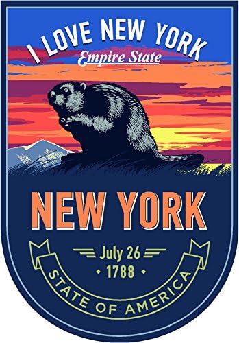 Devlet Hayvan New York Gece 4x5. 5 inç Sticker Çıkartma kalıp Kesim Vinil Yapımı ve abd'de Sevk