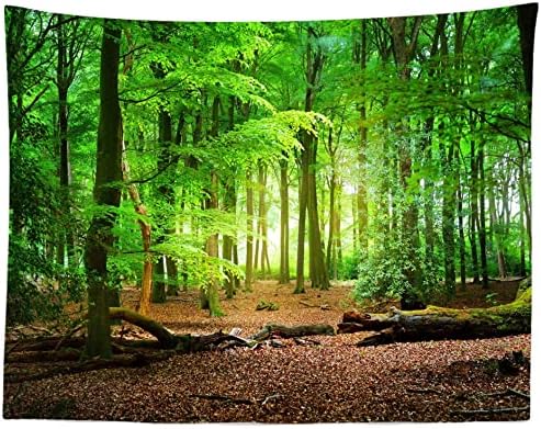 CORFOTO Kumaş 9x6ft Doğa Orman Zemin Tema Fotoğraf Yağmur Ormanları Yaprak Döken Büyük Yeşil Yapraklar Bahar Sabah
