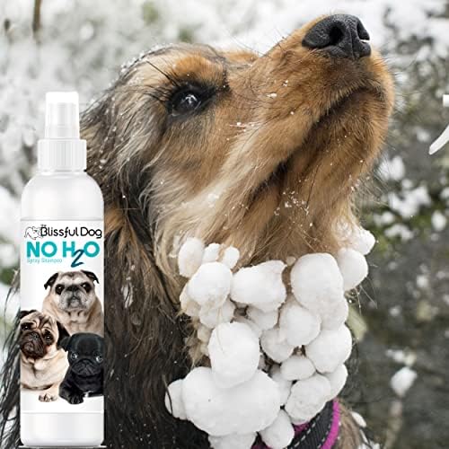 Mutlu Köpek H2O Susuz Şampuan Yok, 1 Galon