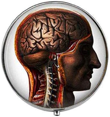 İnsan Beyni İnsan Anatomisi Vintage Takı-Sanat Fotoğraf Hap Kutusu-Charm Hap Kutusu-Cam Şeker Kutusu