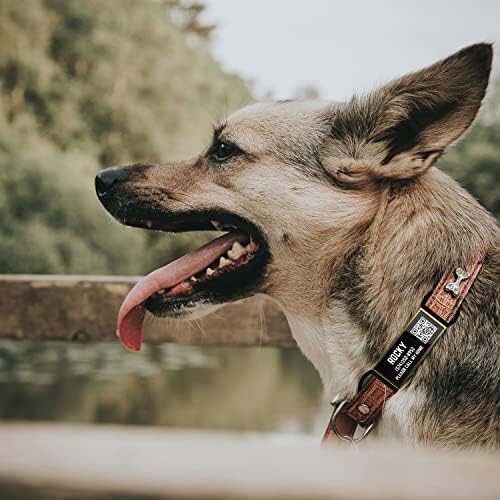 DİSONTAG QR Kodu Köpek Etiketleri Kişiselleştirilmiş Köpek Etiketleri, Kaydırmalı Köpek Kimliği Etiketi Özel Köpek