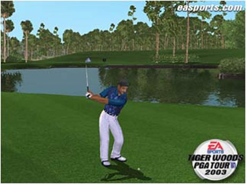 Tiger Woods PGA Turu 2003-PC