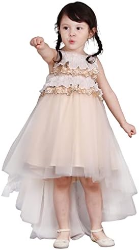 TENTİDE 1-5 Yıl Bebek Kız Pageant Dantel Nakış Büyük İlmek Elbiseler Toddler Resmi Elbise